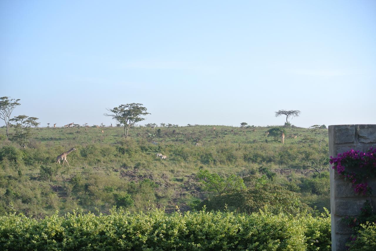 Nyati Hill Cottages Nairobi Exterior photo